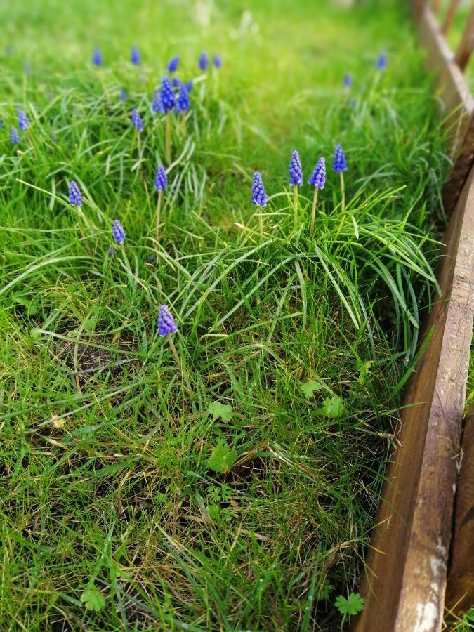 Gite Les Anes De Medeina Ingrannes Exteriör bild